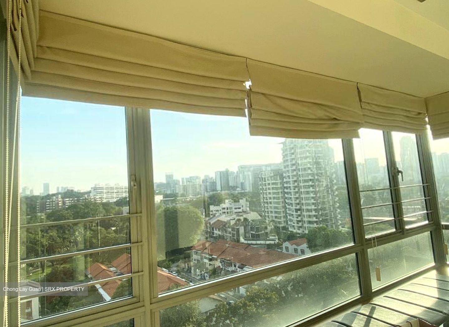 Park Infinia At Wee Nam (D11), Condominium #628882461